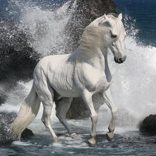 Оригинал схемы вышивки «Белый конь.» (№499091)