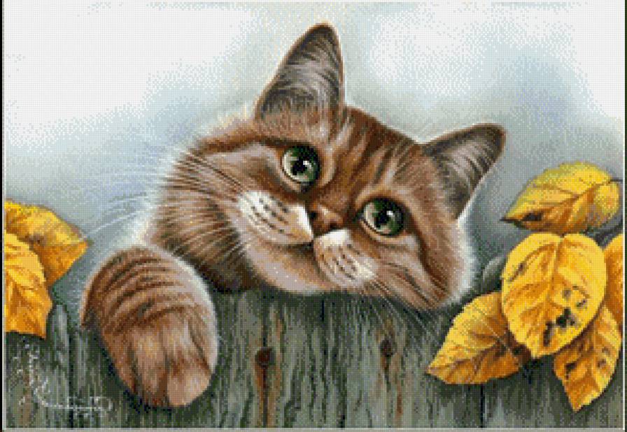 серия "кошки" - животные.кошка.осень.листья - предпросмотр