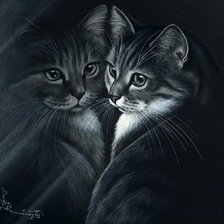 Оригинал схемы вышивки «серия "кошки"» (№499372)