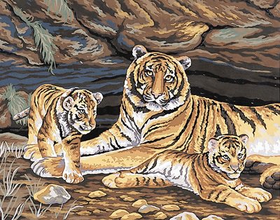 Семейство - дикие, картина, природа, животные, кошки, хищники, тигры - оригинал