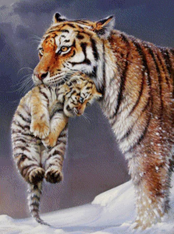 все мамы одинаковы - тигренок, зима, хищник, снег, котенок, природа, тигр, живопись, семья - предпросмотр
