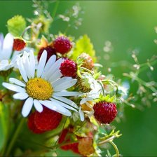 Схема вышивки «Flowers»