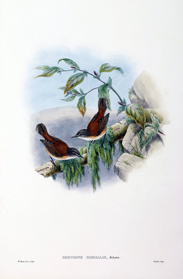 Серия "Птички-невелички" - пейзаж, птицы - оригинал
