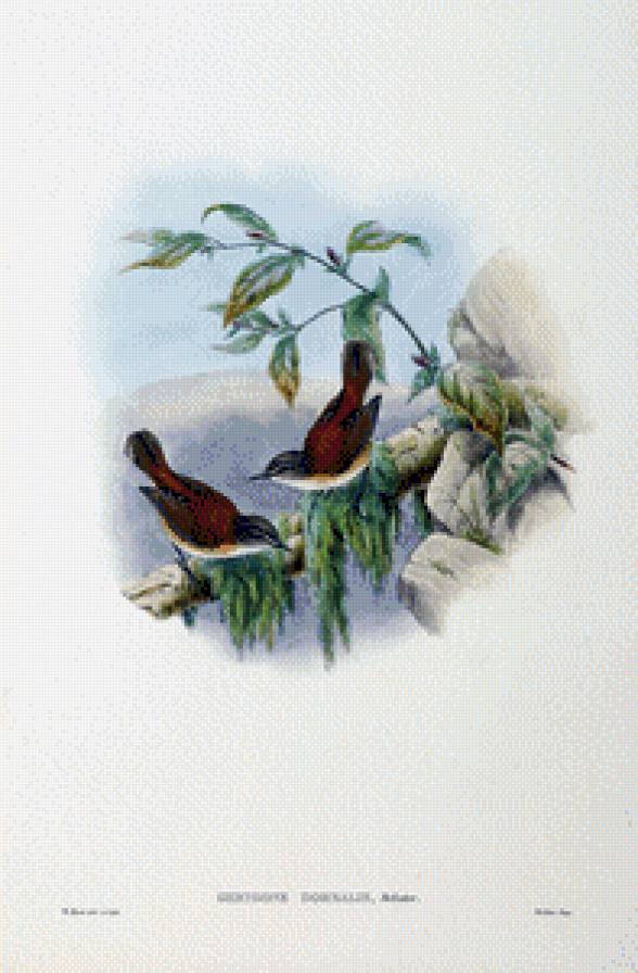 Серия "Птички-невелички" - птицы, пейзаж - предпросмотр