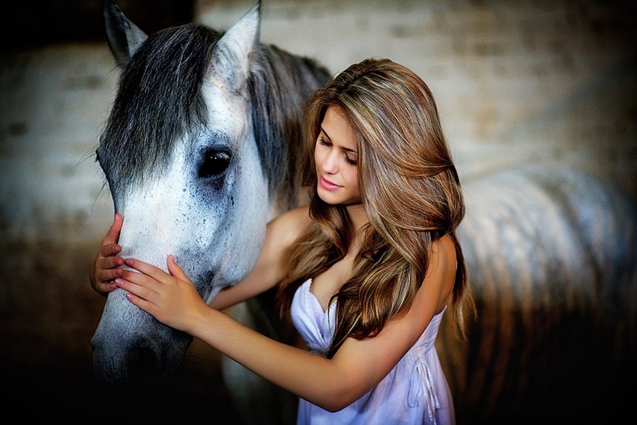 Девушка и лошадь - оригинал