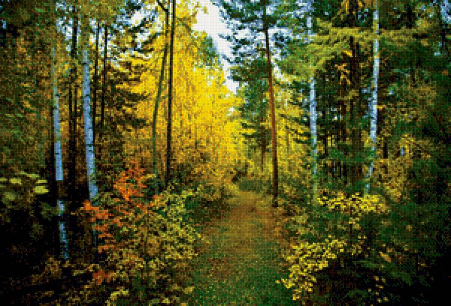В осеннем лесу - лес, природа, осень - предпросмотр