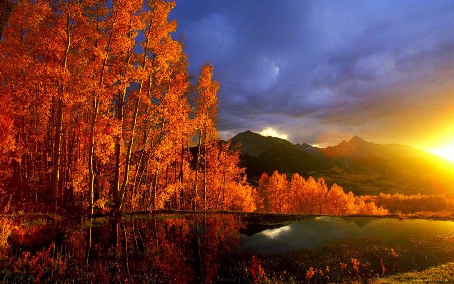 Закат - горы, озеро, закат, лес, осень - оригинал