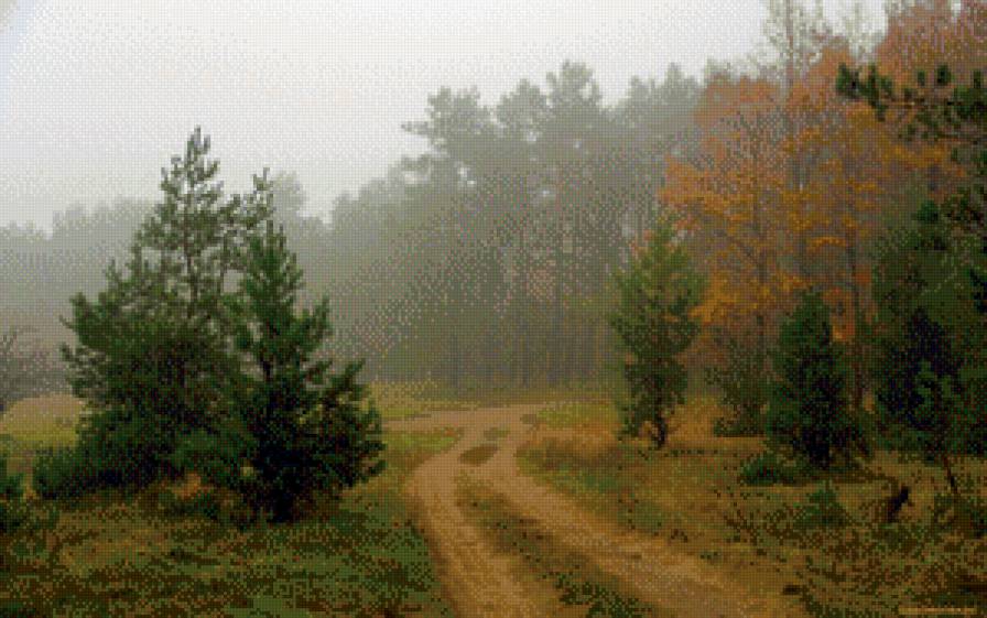 В осеннем лесу - осень, лес, туман - предпросмотр