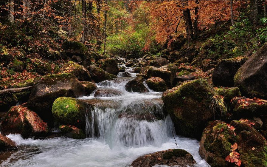 Бурная речка - река, лес, камни, осень - оригинал