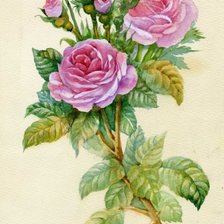 Оригинал схемы вышивки «роза» (№500793)