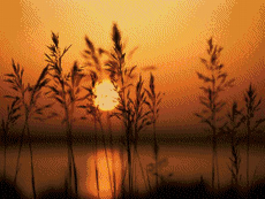 закат - закат, трава, солнце, природа - предпросмотр
