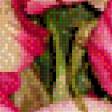 Предпросмотр схемы вышивки «розы» (№501389)