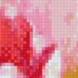 Предпросмотр схемы вышивки «Тюльпаны» (№501519)