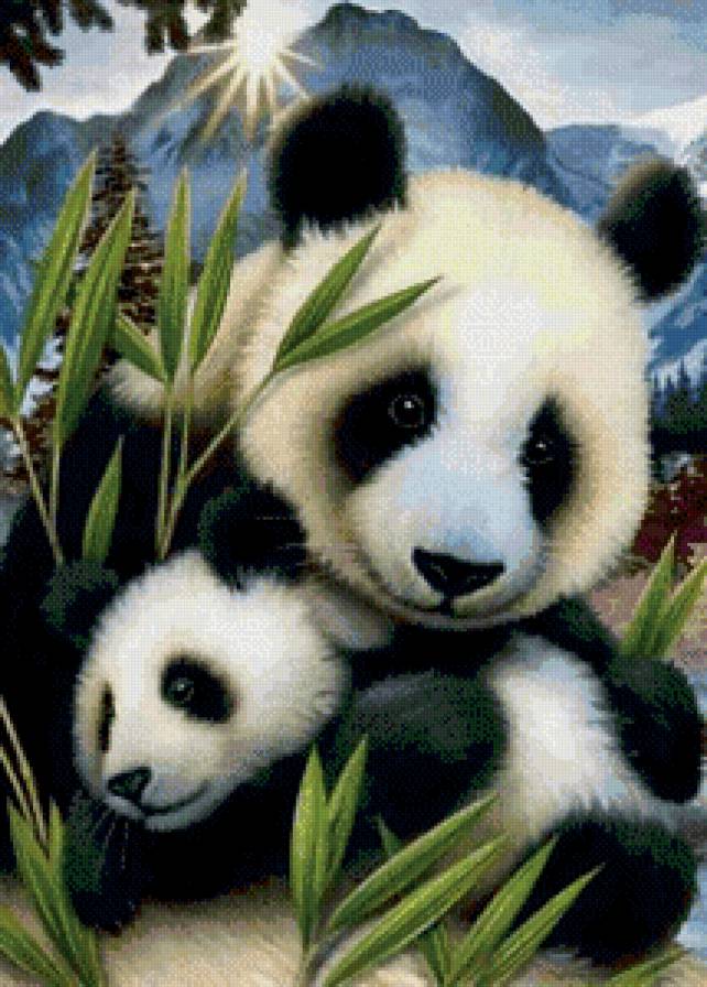 панды вышивка - мишки, панды, животные - предпросмотр