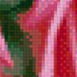 Предпросмотр схемы вышивки «Розы» (№501675)