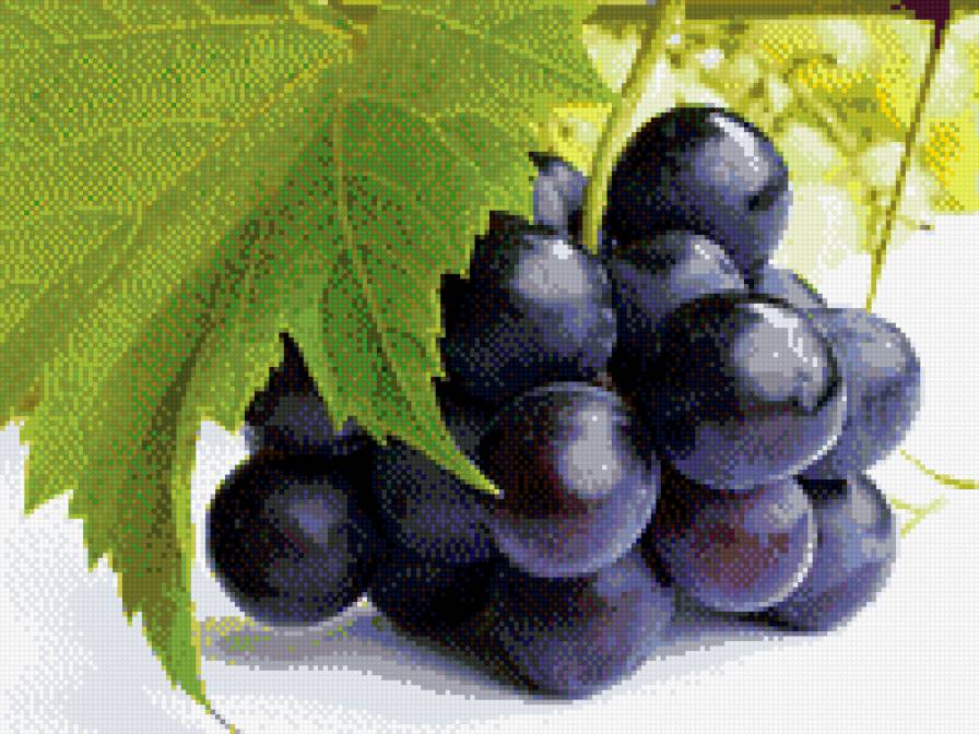 Черный виноград - растения, макро, природа, виноград - предпросмотр