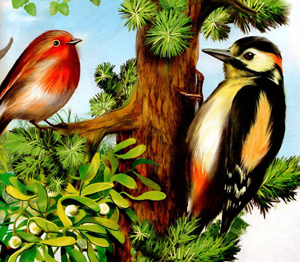 дятел - птицы, дятел, природа, дерево, клест - оригинал