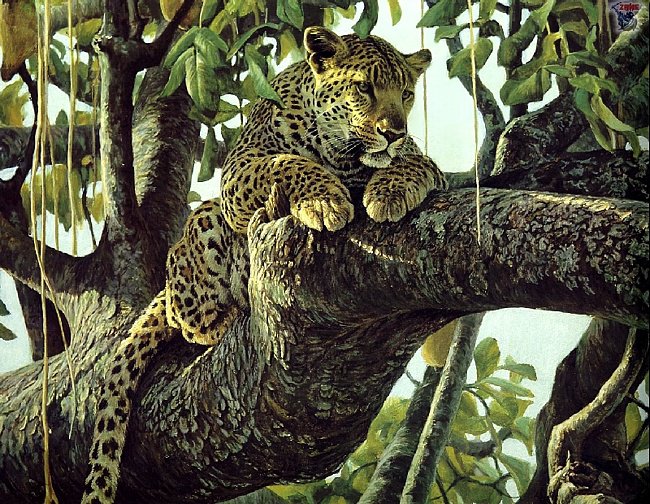 Леопард на дереве - деревья, животные, леопард, дикие животные, коты, природа - оригинал