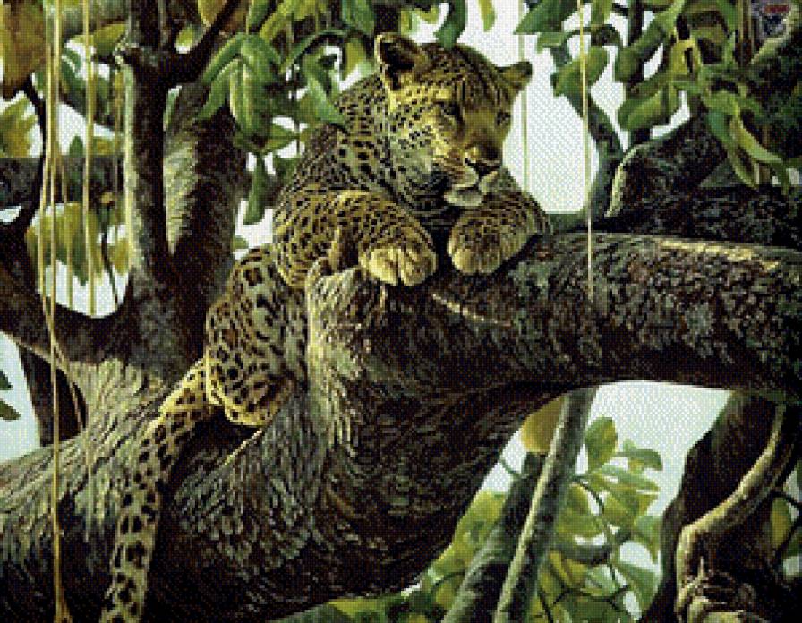 Леопард на дереве - животные, леопард, природа, деревья, дикие животные, коты - предпросмотр