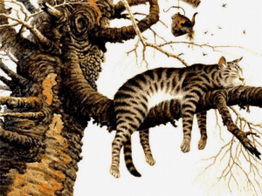 кот на дереве - кот, природа, дерево, животные, картина, прикольные - предпросмотр