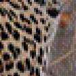 Предпросмотр схемы вышивки «гепард спиной» (№501967)