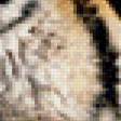 Предпросмотр схемы вышивки «тигр в снегу» (№501977)