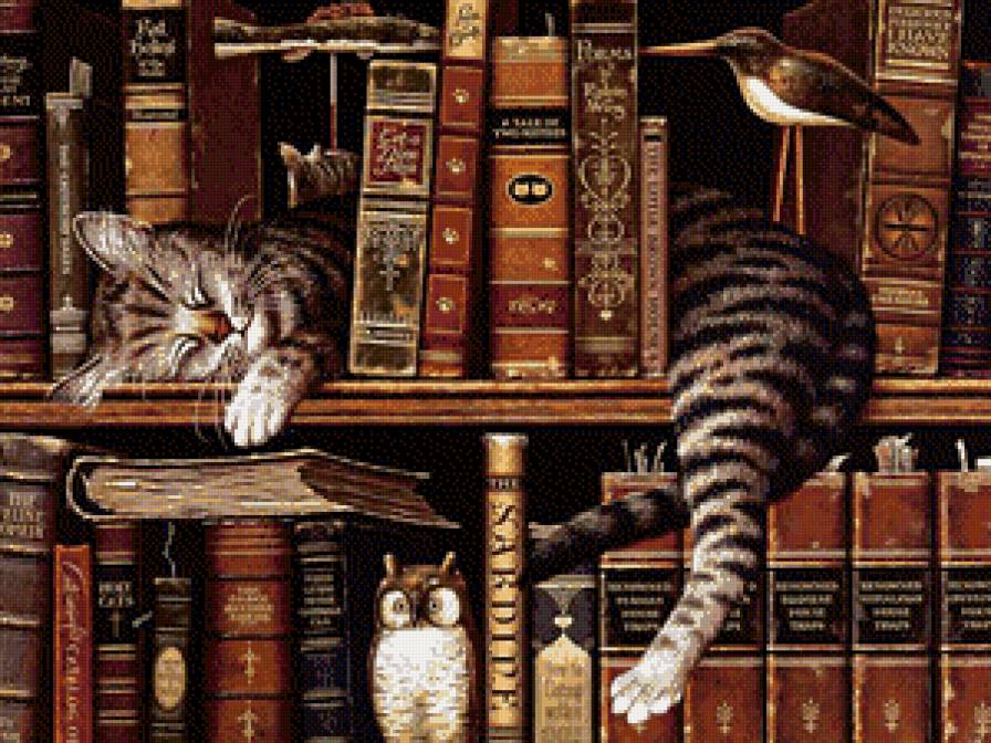 кот на книжной полке - картина, кот, животные - предпросмотр