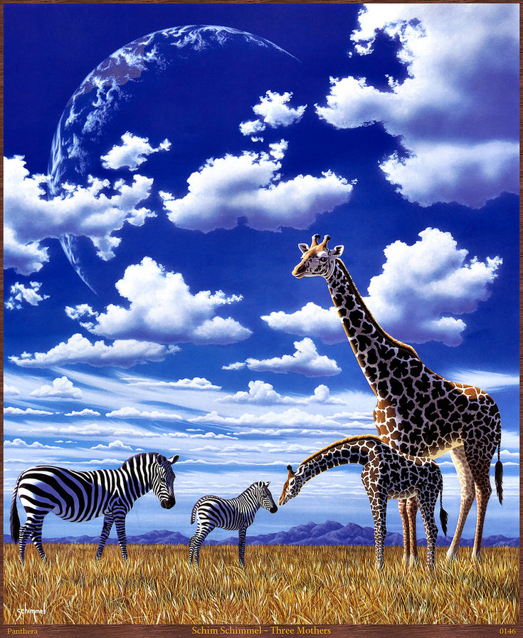 Африка - небо, пейзаж, животные, зебры, жирафы - оригинал