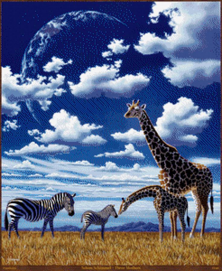 Африка - пейзаж, небо, животные, жирафы, зебры - предпросмотр