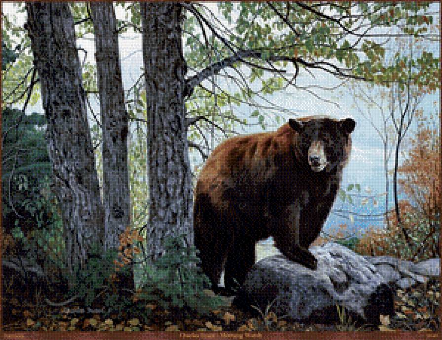 Серия "Медведи" - осень, животные, пейзаж, медведи - предпросмотр