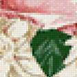 Предпросмотр схемы вышивки «розы» (№502705)