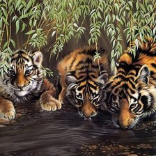 Схема вышивки «тигры у реки»