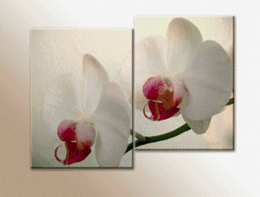 триптих орхидеи - триптих, цветы, орхидеи, полиптих - предпросмотр