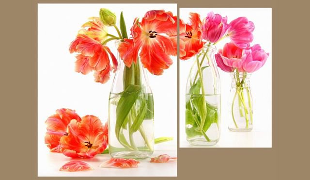 триптих тюльпаны - полиптих, цветы, тюльпаны - оригинал