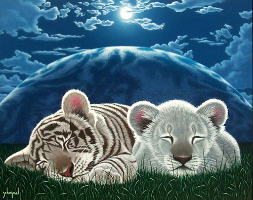 0166 - кошки, картина, природа, красота, тигр, ночь - оригинал