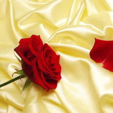 Оригинал схемы вышивки «роза» (№503558)