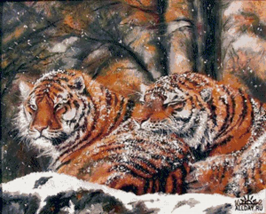 тигры - животные, тигр, пара, тигры, зима - предпросмотр
