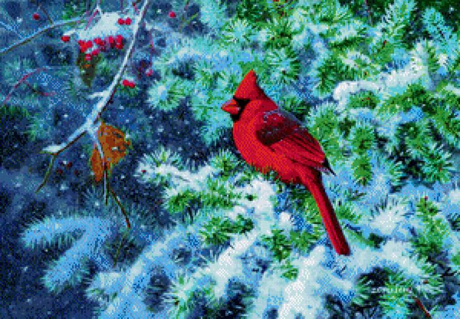 Серия "Птицы" - птицы, кардиналы, зима - предпросмотр