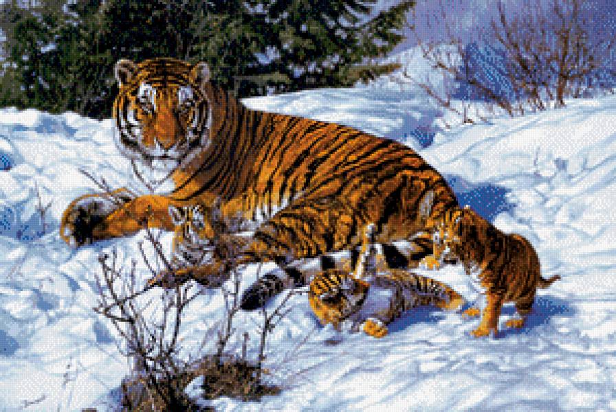 Серия "Большие кошки" - кошки, пейзаж, тигрята, животные, тигры, зима - предпросмотр