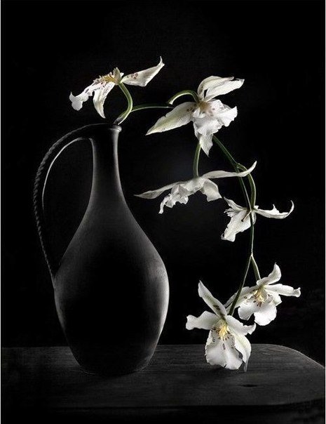 Цветы - белое, ваза, черное, цветы - оригинал