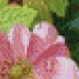 Предпросмотр схемы вышивки «цветы» (№504925)