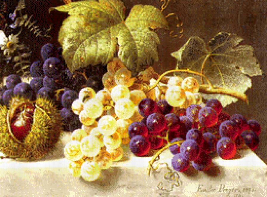 виноград - виноград, кухня, гроздь - предпросмотр