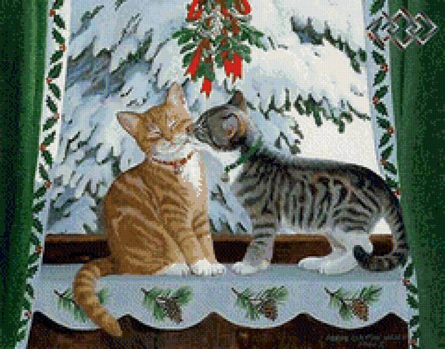 два котенка - домашние животные, коты, зима, кошки, окно, котята - предпросмотр