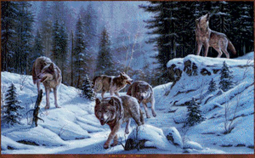 Серия "Волки" - пейзаж, волки, снег, зима, животные - предпросмотр