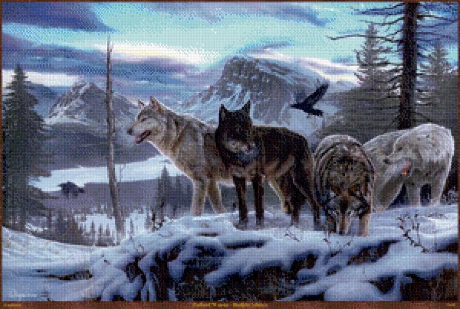 Серия "Волки" - волки, птицы, зима, снег, животные, горы, пейзаж - предпросмотр
