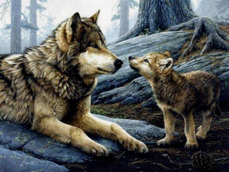 волчица и волчонок - животные, хищники, мать и дитя, волчонок, волки, лес, скалы - предпросмотр