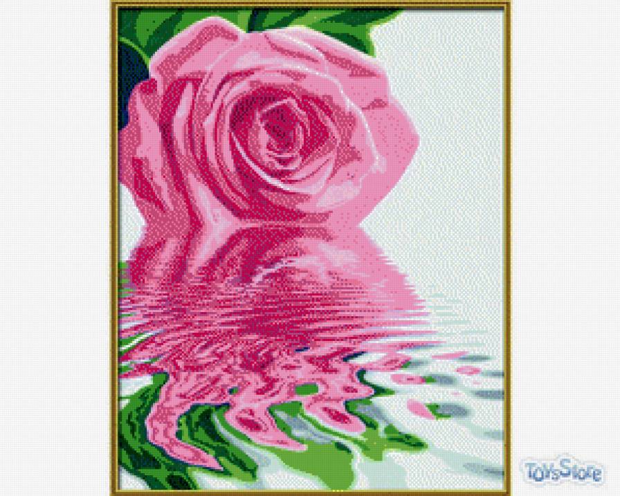 Роза на воде - цветы - предпросмотр