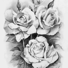 Схема вышивки «рози черно-бел»