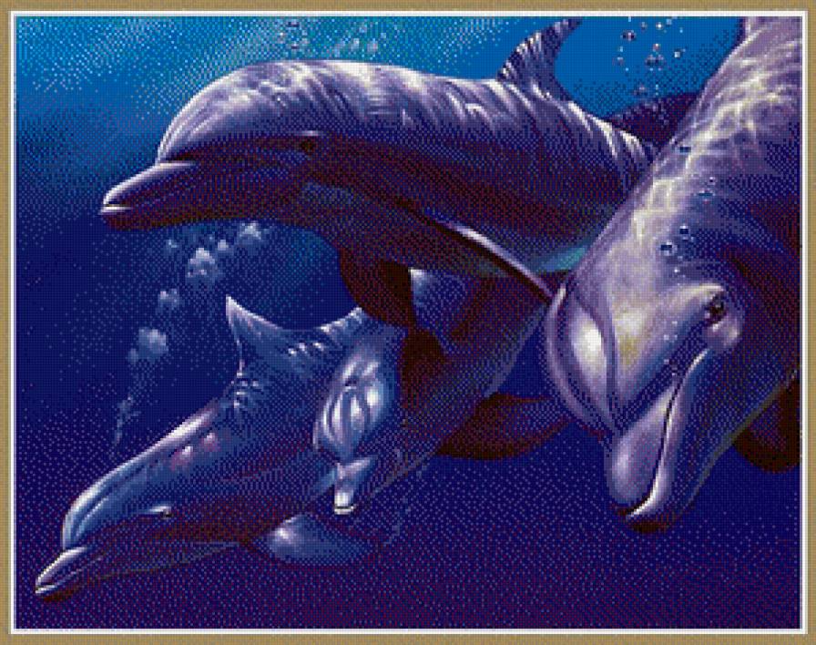 дельфины - вода, рыбы, море - предпросмотр
