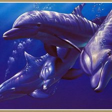Оригинал схемы вышивки «дельфины» (№507024)
